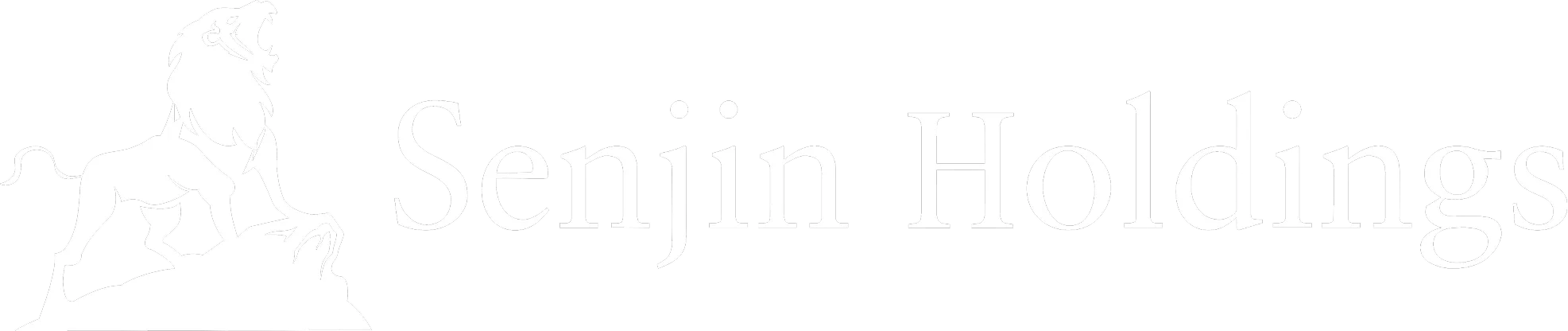 Senjin Holdings